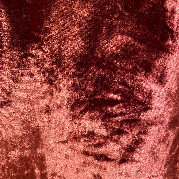 Madewell Cabernet Burgundy Velvet Short-Sleeve Top - Picture 5 of 10